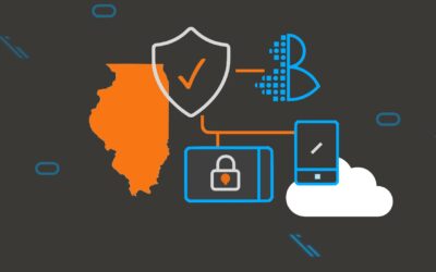 Illinois Privacy Compliance: What Every Business Owner Needs to Know