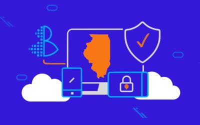 Understanding PIPA: What Illinois Businesses Need to Know