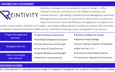 What We Do: Consulting, Management & Sourcing
