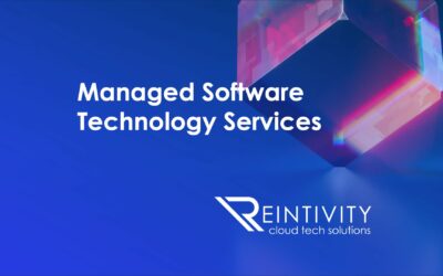 Managed Software Technology Services